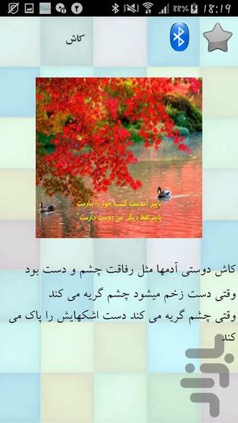 شعر دوستی - Image screenshot of android app