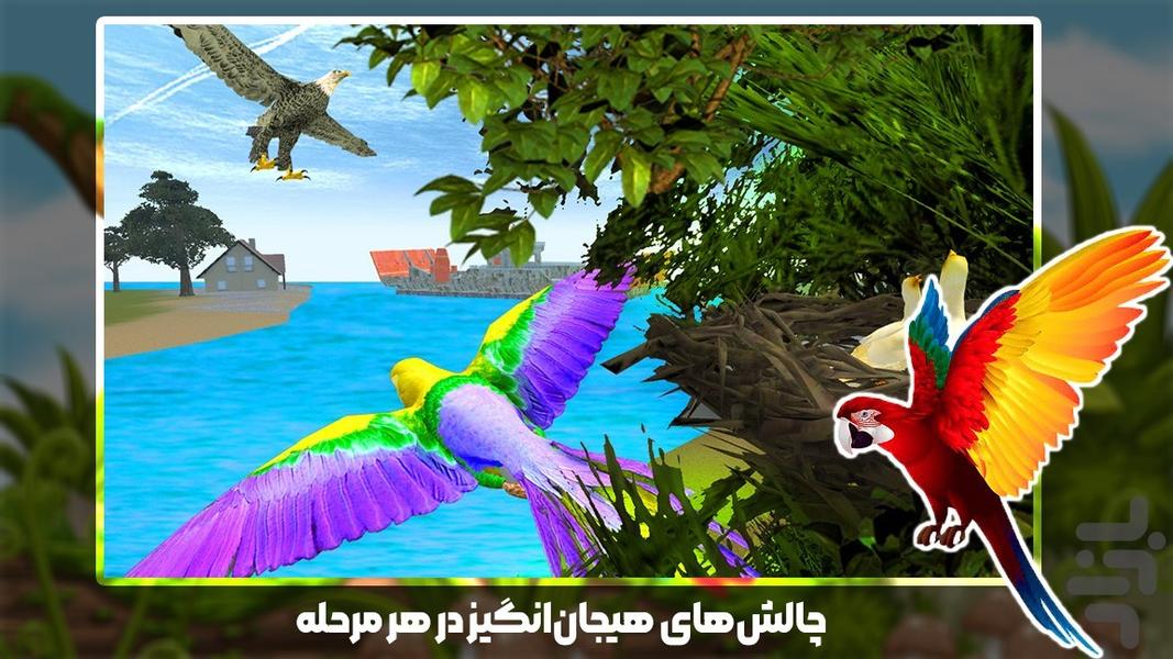 بازی پرنده طوطی - عکس بازی موبایلی اندروید