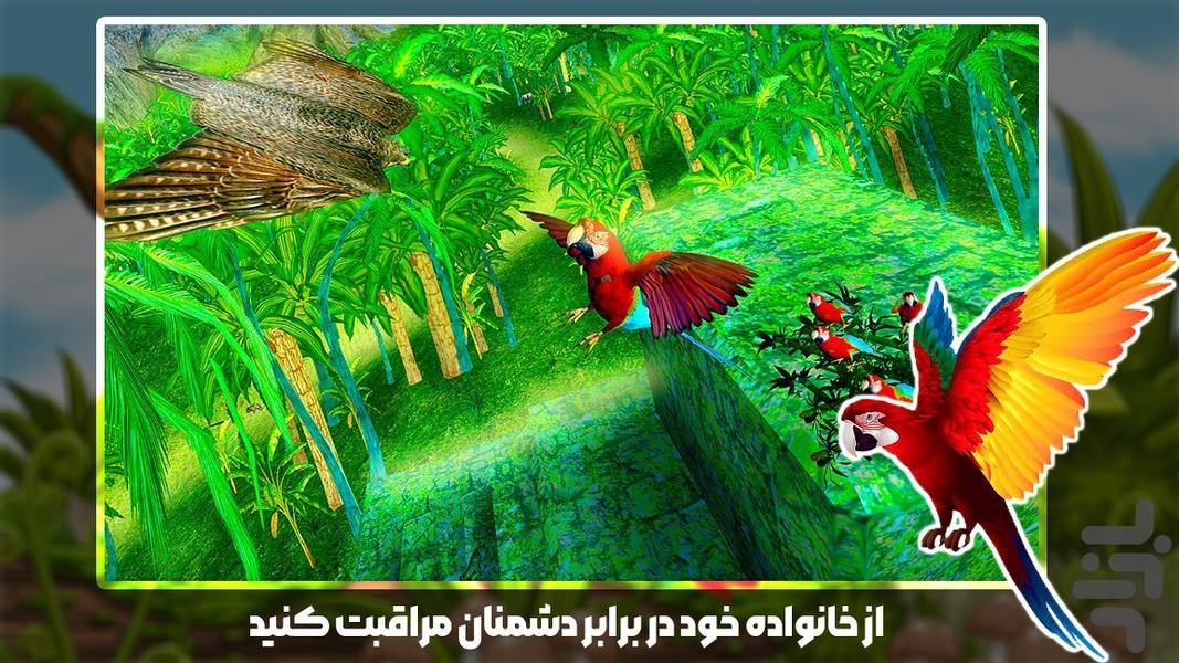 بازی پرنده طوطی - عکس بازی موبایلی اندروید