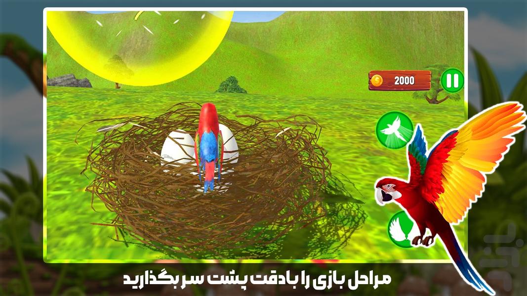 بازی پرنده طوطی - عکس بازی موبایلی اندروید