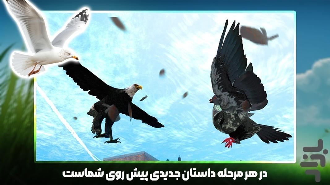کبوتر بازی - Gameplay image of android game