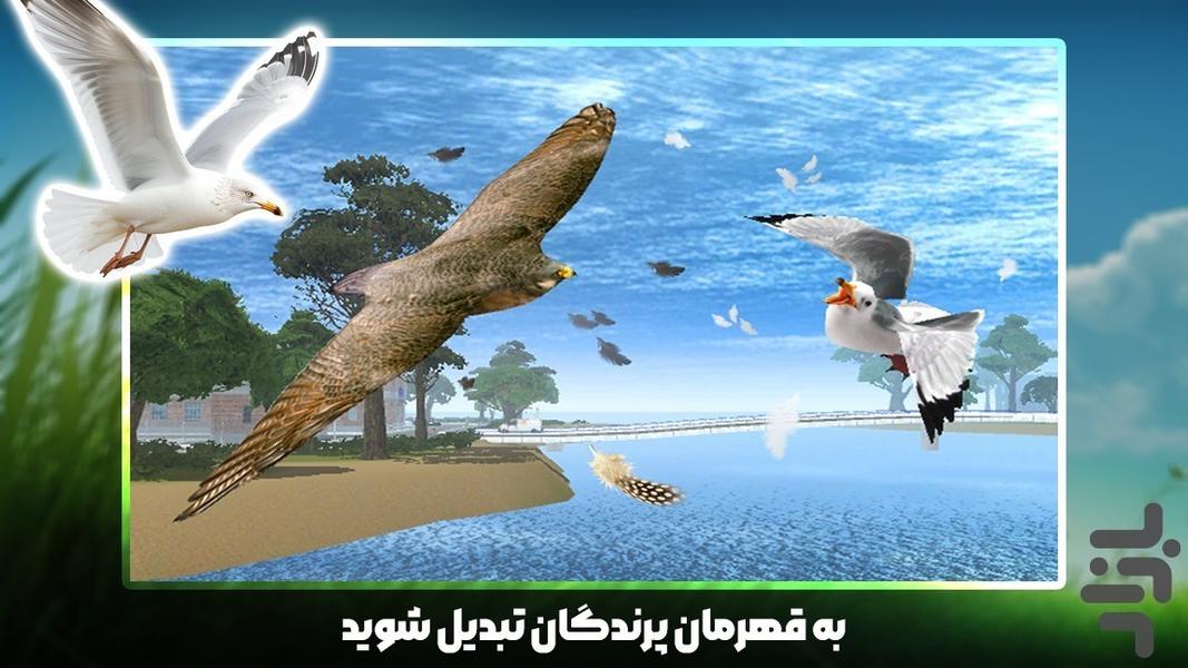 کبوتر بازی - Gameplay image of android game