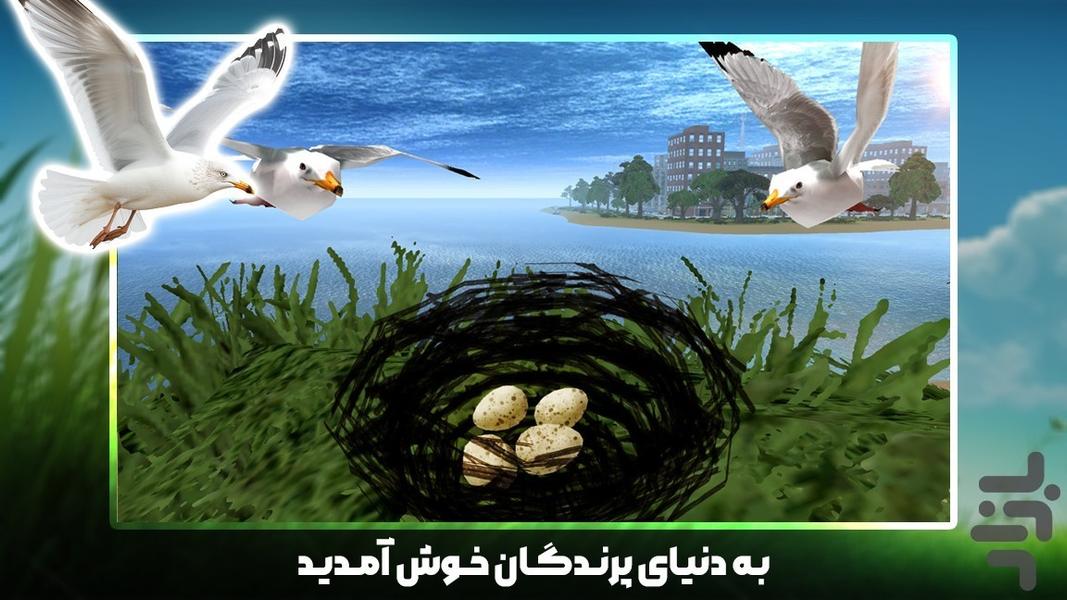 کبوتر بازی - Gameplay image of android game