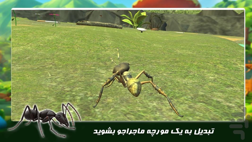 بازی زندگی حیوانات | مورچه ماجراجو - عکس بازی موبایلی اندروید
