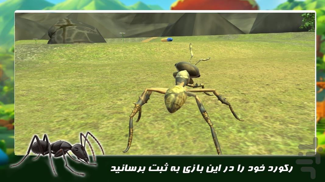 بازی زندگی حیوانات | مورچه ماجراجو - عکس بازی موبایلی اندروید