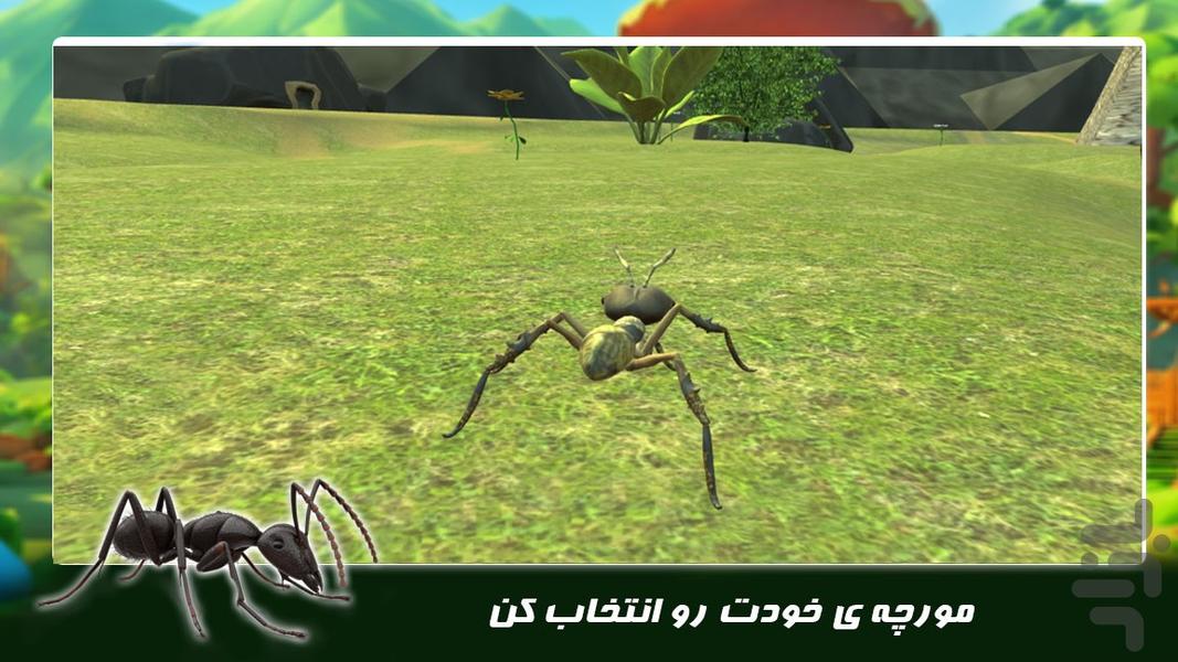 بازی زندگی حیوانات | مورچه ماجراجو - عکس بازی موبایلی اندروید