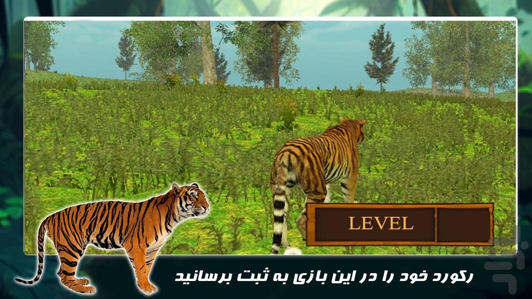 بازی حیات وحش جدید | ببر وحشی - عکس بازی موبایلی اندروید