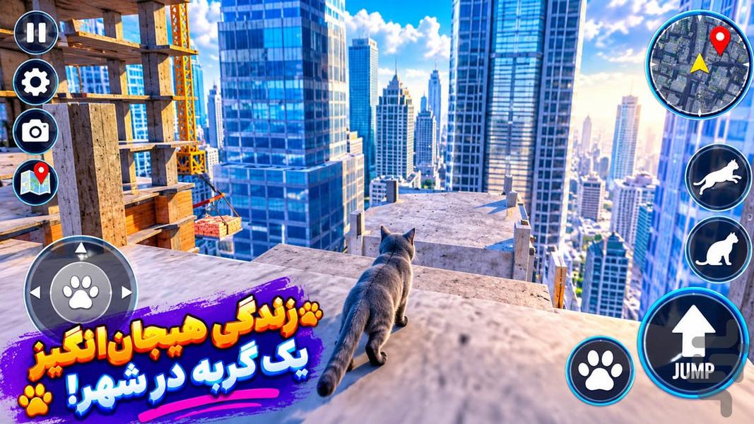 گربه بازی دخترانه - Gameplay image of android game