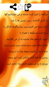 انواع ته دیگ وته چین - عکس برنامه موبایلی اندروید