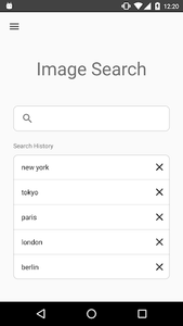 ImageSearchMan - Image Search - عکس برنامه موبایلی اندروید