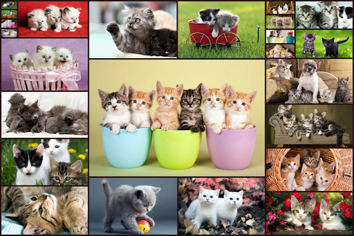 Cats Jigsaw Puzzle Game Kids - عکس بازی موبایلی اندروید