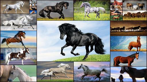 Horse Jigsaw Puzzles Game Kids - Gameplay image of android game