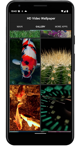 Sea Turtle. Live wallpaper. - Image screenshot of android app
