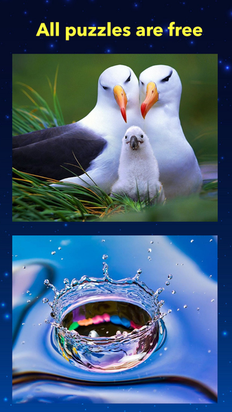 Jigsaw puzzle daily relax - عکس برنامه موبایلی اندروید