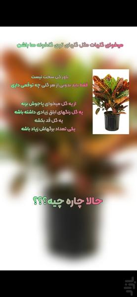 شاداب(نگهداری اصولی گل و‌گیاه) - عکس برنامه موبایلی اندروید