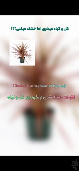 شاداب(نگهداری اصولی گل و‌گیاه) - عکس برنامه موبایلی اندروید