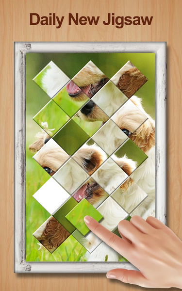 Shape Sort - jigsaw puzzle - عکس بازی موبایلی اندروید