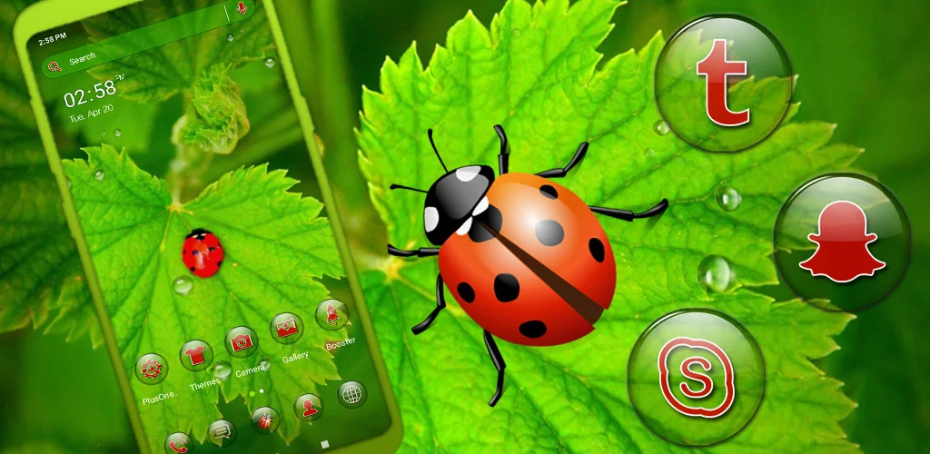 Ladybug Leaf Theme - عکس برنامه موبایلی اندروید