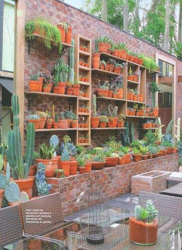 Cactus Garden - عکس برنامه موبایلی اندروید