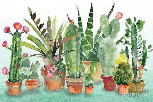 Cactus Garden - عکس برنامه موبایلی اندروید