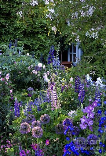 Garden Landscape - عکس برنامه موبایلی اندروید