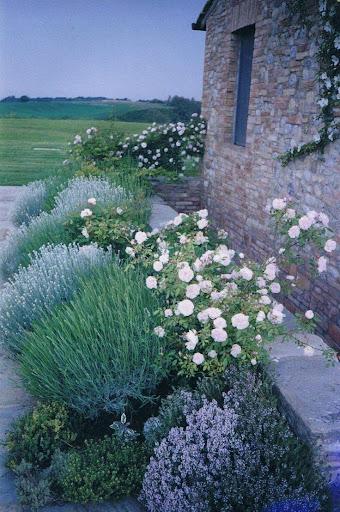 Rose Garden - عکس برنامه موبایلی اندروید