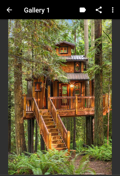 Treehouse - عکس برنامه موبایلی اندروید