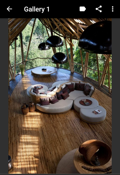 Treehouse - عکس برنامه موبایلی اندروید