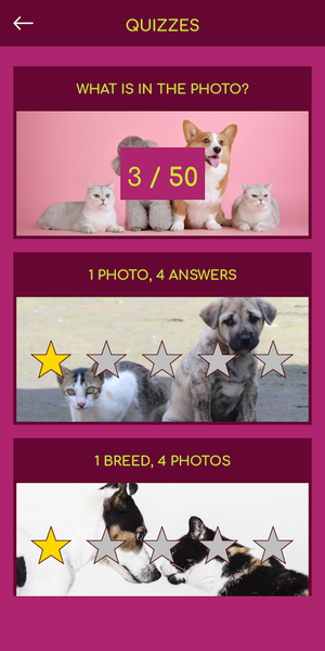 Cat & Dog Breeds Quiz - عکس برنامه موبایلی اندروید