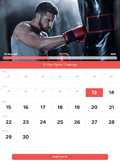 30 Day Fighter Challenge - Image screenshot of android app