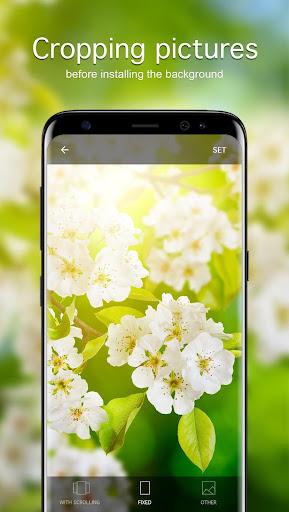 Spring Wallpapers ۴K - عکس برنامه موبایلی اندروید