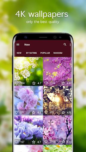 Spring Wallpapers 4K - Image screenshot of android app