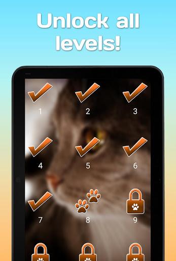 Find a cat ۲ - عکس بازی موبایلی اندروید