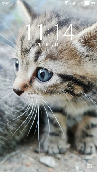 Pets Wallpaper-7 - Image screenshot of android app