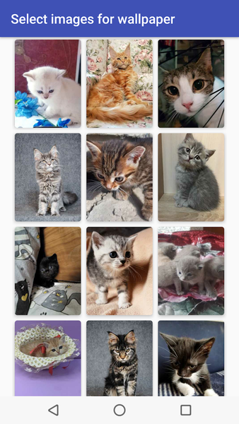 Pets Wallpaper-7 - عکس برنامه موبایلی اندروید