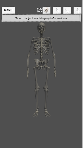 Human Skeleton - Image screenshot of android app