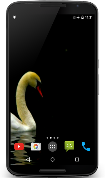 Swan Video Live Wallpaper - عکس برنامه موبایلی اندروید