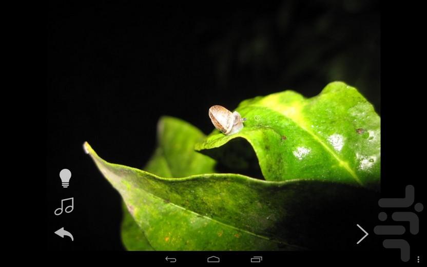 Closer to Nature - Image screenshot of android app