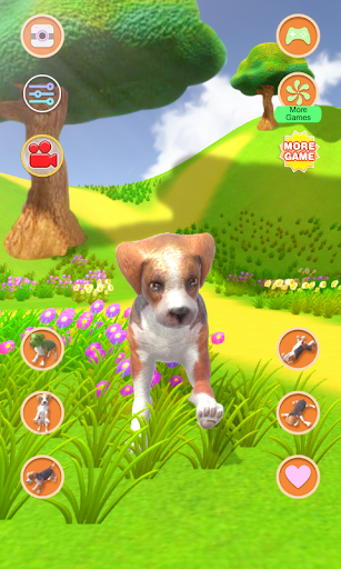 Talking Dog Crazy - عکس برنامه موبایلی اندروید