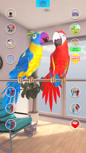 Talking Parrot Couple - عکس برنامه موبایلی اندروید