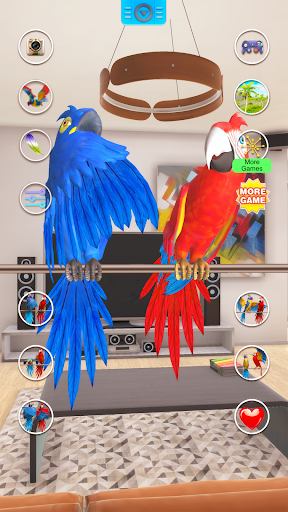 Talking Parrot Couple - Image screenshot of android app