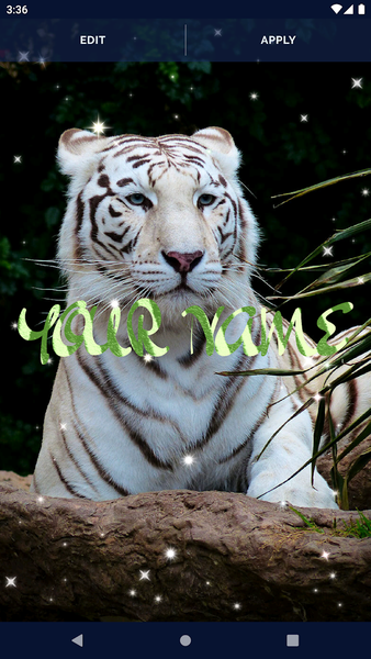 Tiger Live Wallpapers - Image screenshot of android app