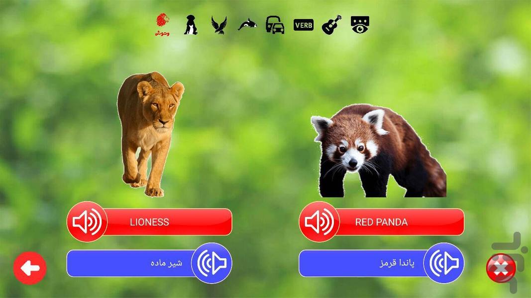 آموزش انگلیسی - مقدماتی - عکس برنامه موبایلی اندروید