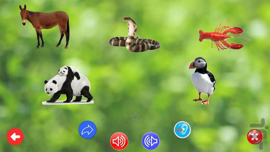 آموزش انگلیسی - مقدماتی - عکس برنامه موبایلی اندروید