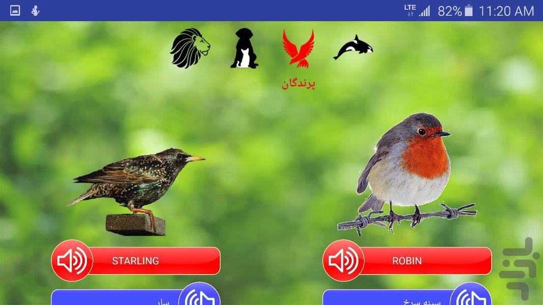 آموزش انگلیسی - مقدماتی - عکس برنامه موبایلی اندروید