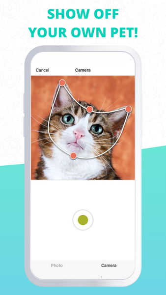 Talking Animals - Image screenshot of android app