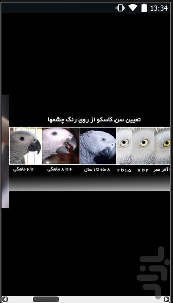 آموزش نگهداری از پرندگان - عکس برنامه موبایلی اندروید