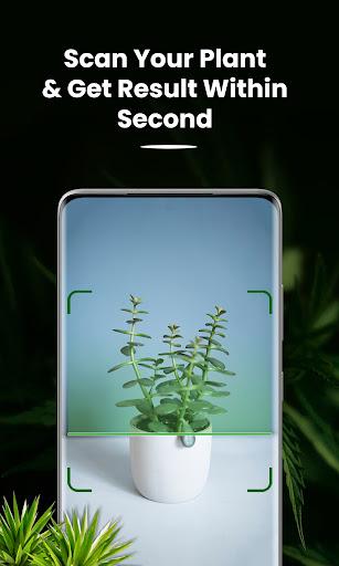 Plant and Tree Identification - Image screenshot of android app