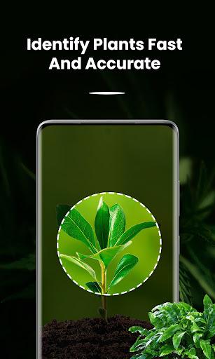 Plant and Tree Identification - Image screenshot of android app