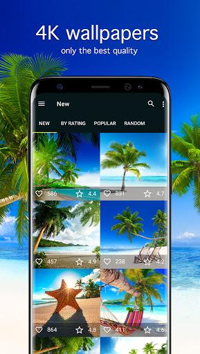 Tropical Wallpapers 4K - Image screenshot of android app